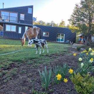 Cabaña de montaña - 8