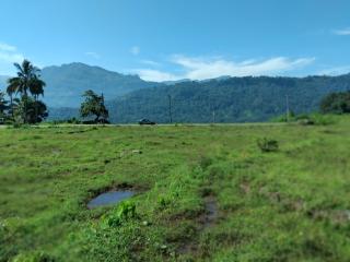 Ambewela rangers cottage - 2