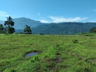 Ambewela rangers cottage - 1