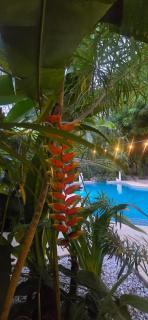 Villas Kalimba - Sámara - 9