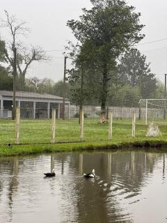 Cenário Perfeito para Seu Dia Especial: Chácara Recanto do Pinheiro - 7