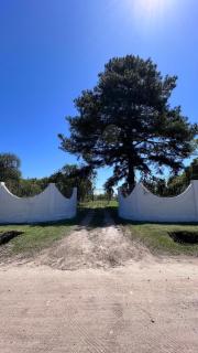 Cenário Perfeito para Seu Dia Especial: Chácara Recanto do Pinheiro - 5