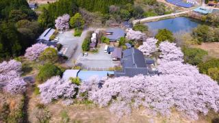 旅館 家族湯 いまむら - 9