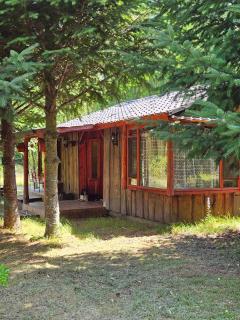 Brisas del llaima - 8