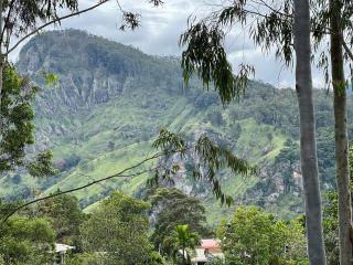 Ella Forest Eco View - 8