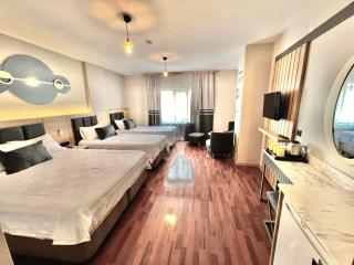 İSTANBUL Taksim Palece OTEL - 6