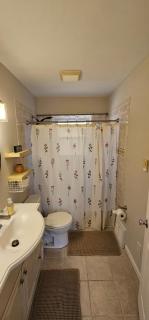 Charming 2 bedroom house in serene St Louis - 9