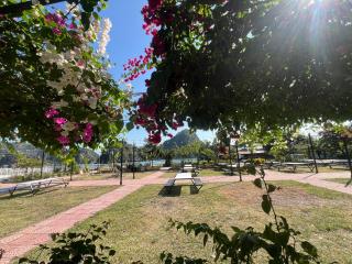 Lan Hạ Bay view homestay - 8