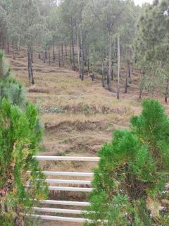 Silver wings Kasauli - 5