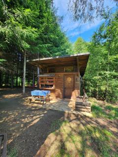 Brisas del llaima - 4