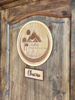 Brisas del llaima - 5