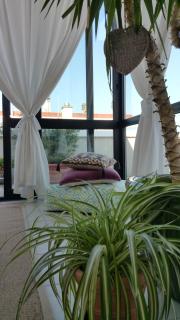 Cristina' s flat - Misano Adriatico - 5