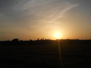 Sunset Tourist Home - Polonnaruwa - 3