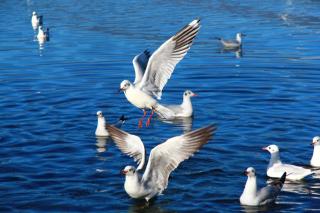 Sky of September Lugu Lake Hotel - 6