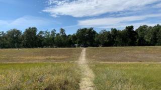 Villavilla 519 - Marielyst, Lollandfalstermøn - 1