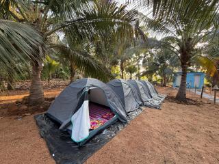 Hampi Firangi Cafe - 0