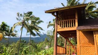 Kita Bungalows Tetebatu - Tetebatu - 6