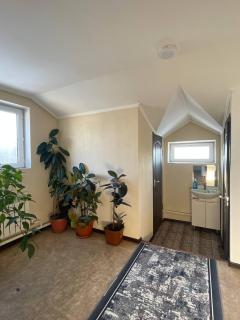 Snow Leopard Hostel - Karakol - 5