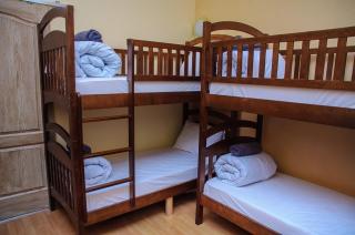 Golden Globus Hostel - Kiev - 0