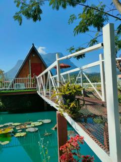 Western View Chiangdao Camping - Chiang Dao - 8