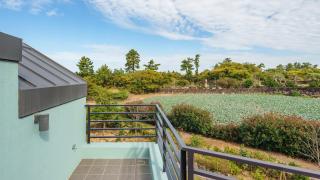 Jeju moridarakbang pension - 4