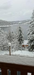 Vila Nature and Luxury - 0