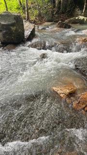 สวนหินธาราเขาแม่พันธุรัตน์โฮมสเตย์ & แคมปิ้ง กงหรา พัทลุง - 8