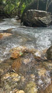 สวนหินเขาแม่พันธุรัตน์โฮมสเตย์ & แคมปิ้ง กงหรา พัทลุง - 8