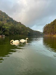 บ้านฝันดีโฮมสเตย์ ปางอุ๋ง - 1