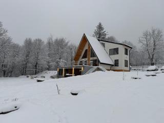 A-frame Sofis House Valea Doftanei - 0