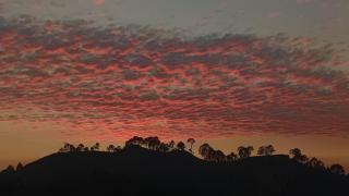 Dwarahat Village Farmstay- Babaji's Cave - 5