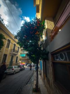 Bereket tekia araya - 2