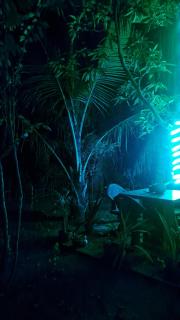 Hidden Nature place villa - 7