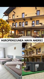 Agropensiunea Maya-Andrei - Novaci-Străini - 0