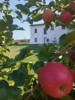 Agriturismo il meleto - 9