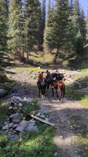 Snow Leopard Hostel - 4