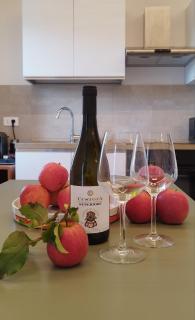 Agriturismo il meleto - 4