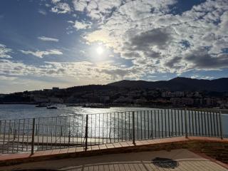F3 en centre-ville de Banyuls avec terrasse - FR-1-309-58 - 0