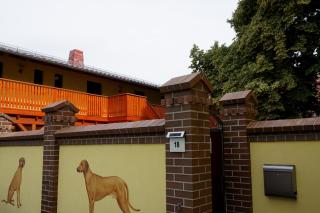 L&L Skaters Home - 3