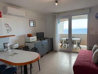 Banyuls-sur-Mer T2 avec terrasse et WIFI - FR-1-309-259 - 4