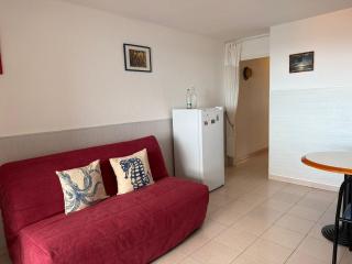 Banyuls-sur-Mer T2 avec terrasse et WIFI - FR-1-309-259 - 1