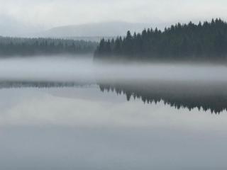 apartmány V Lese - 6