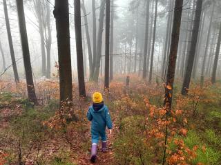 apartmány V Lese - 5