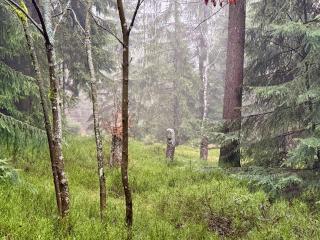 apartmány V Lese - 4