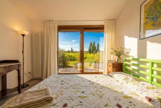 Podere Annesso - Tuscany Vineyard Villa with Pool - San Giovanni - 4