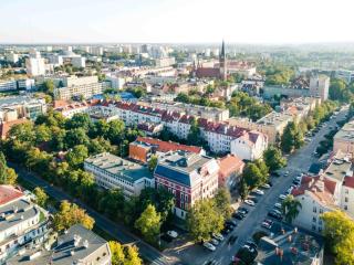 WHITE GLOVE Dyplomat - 3