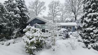 Cosy Forest Cabin - 0