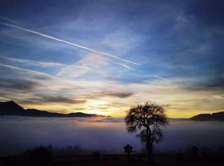 Familienhof Kain - 2