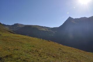 Wallnerhütte I Almblick - 7