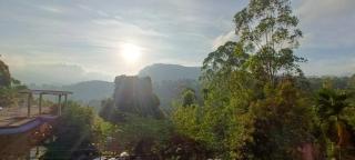 Ella Mountain Bliss - 9